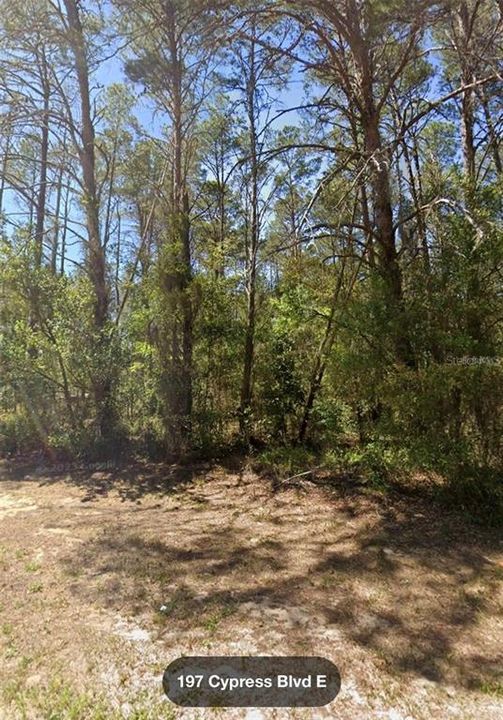 For Sale: $28,900 (0.34 acres)