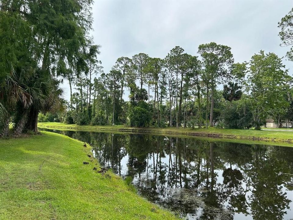 Serene Pond