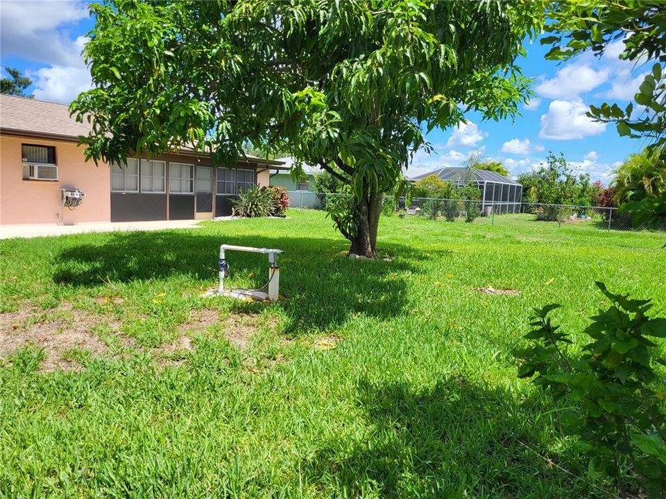 Spacious yard. Irrigation Well.