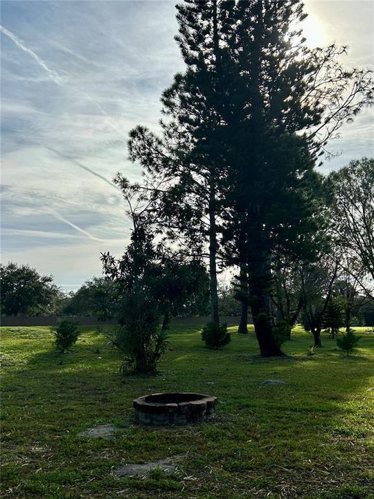 Backyard fire ring