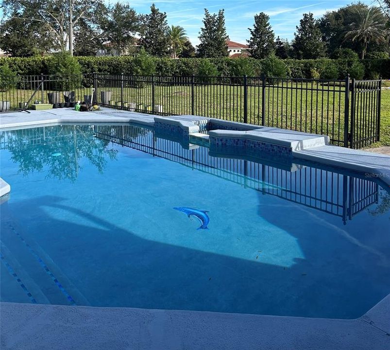 Pool feature, Dolphin