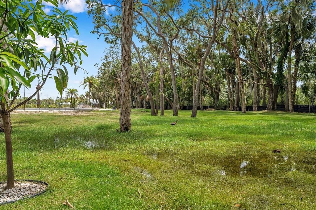 For Sale: $750,000 (1.43 acres)