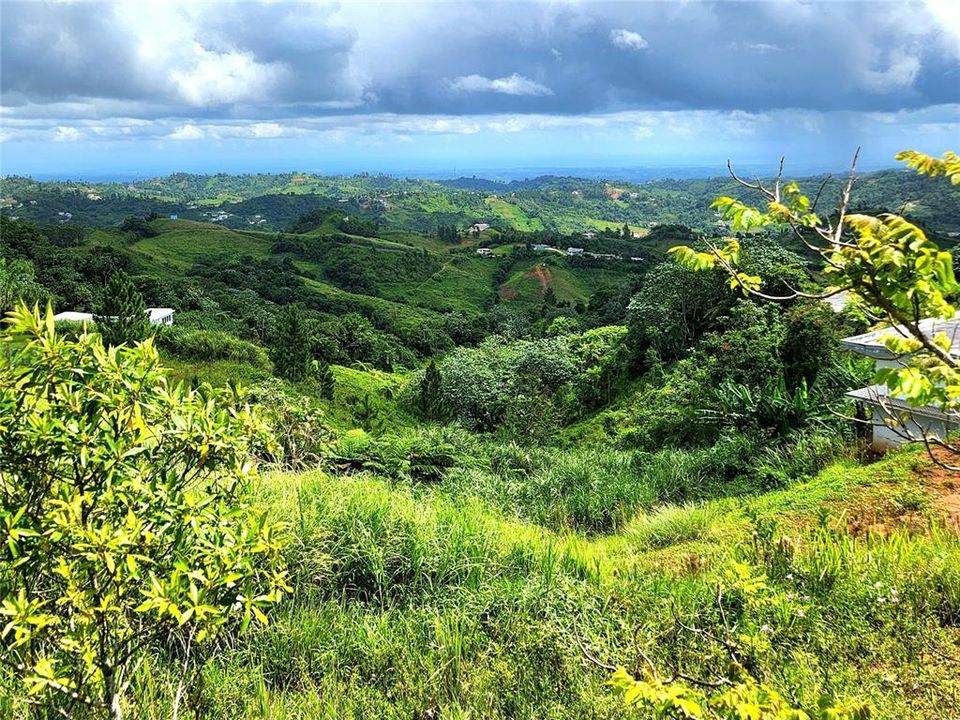 最近售出: $50,000 (0.24 acres)