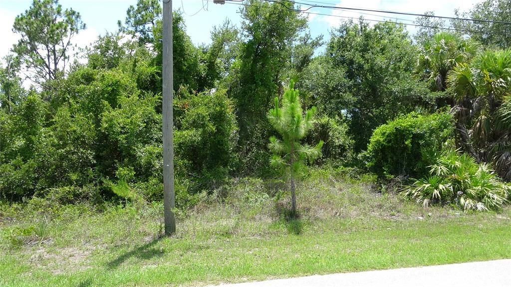 En Venta: $24,900 (0.23 acres)