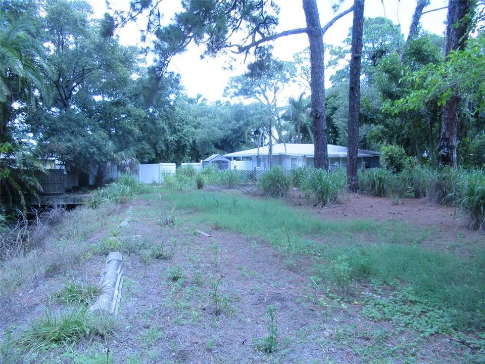 Backyard from property line (chain link fence