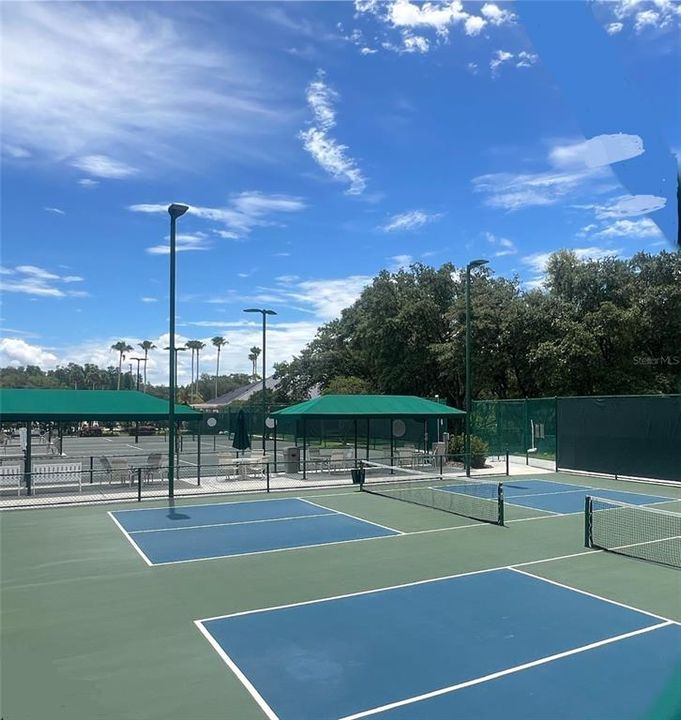 Community Pickleball Courts!