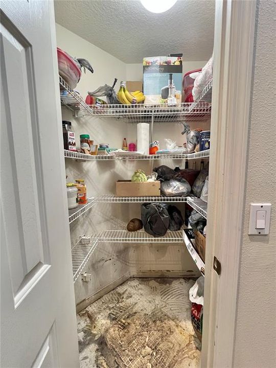 Walk-in Kitchen Pantry