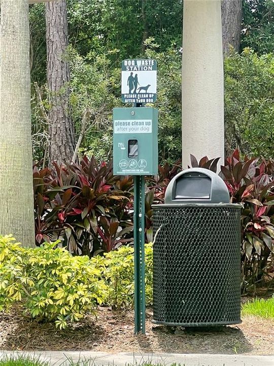 Very convenient pet waste stations can be found all over the community!