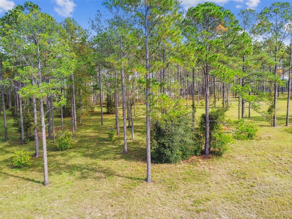 For Sale: $499,900 (6.19 acres)