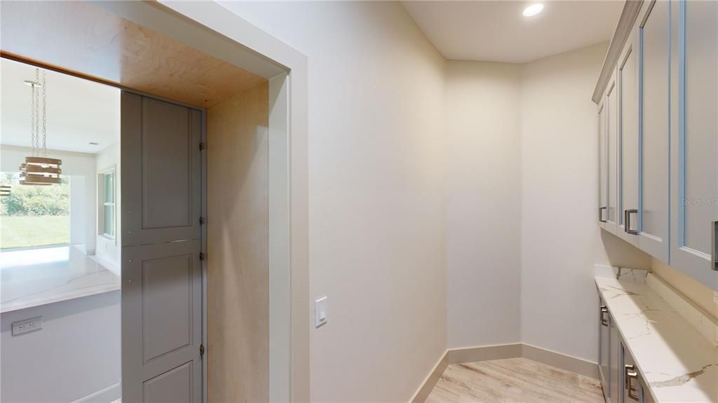 Walk-in pantry