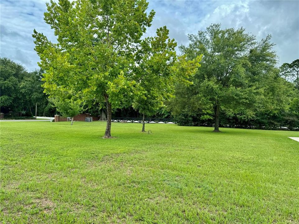 Front Yard View