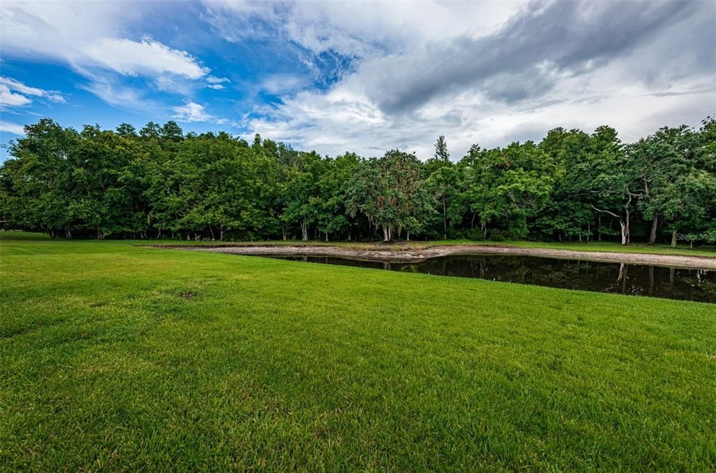 .25 acre lot - backyard