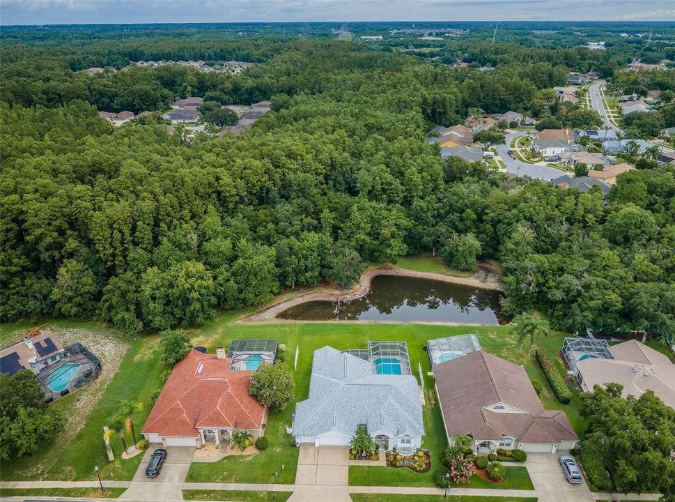 Aerial backyard pond view