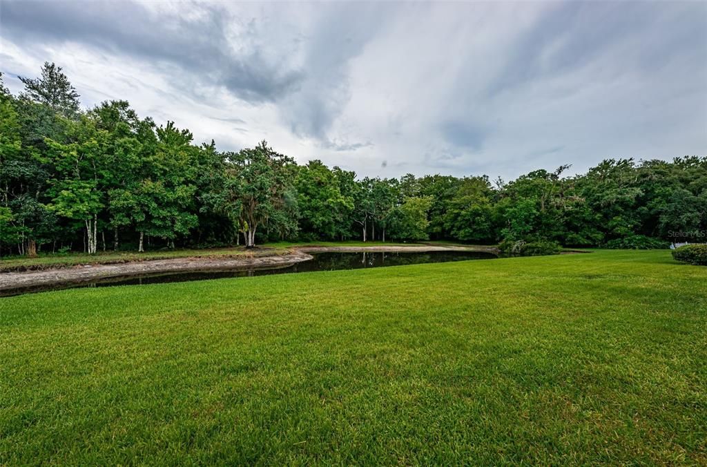 .25 acre lot