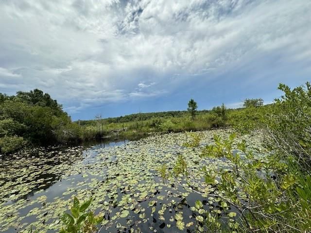 На продажу: $49,000 (0.62 acres)