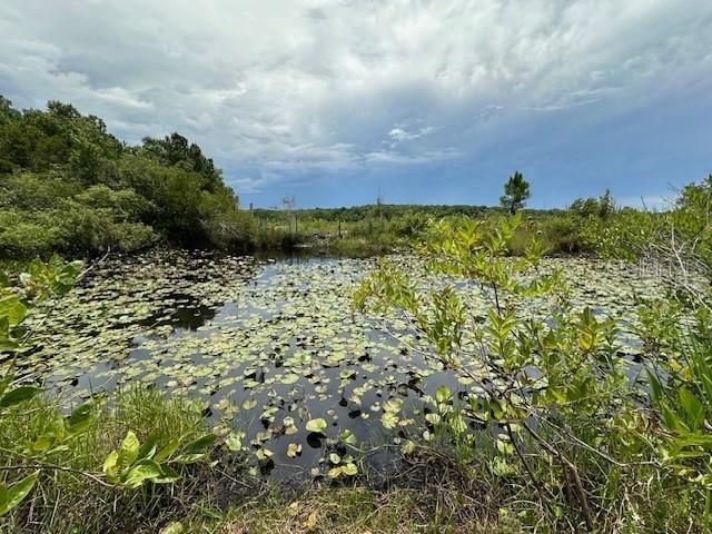 На продажу: $49,000 (0.62 acres)