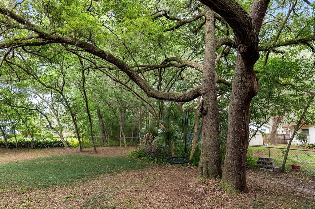 For Sale: $370,000 (3 beds, 2 baths, 1788 Square Feet)