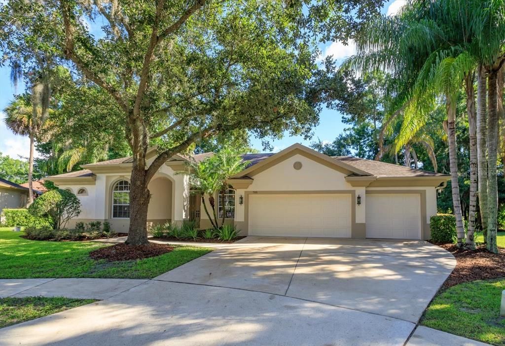 3 car garage and large driveway