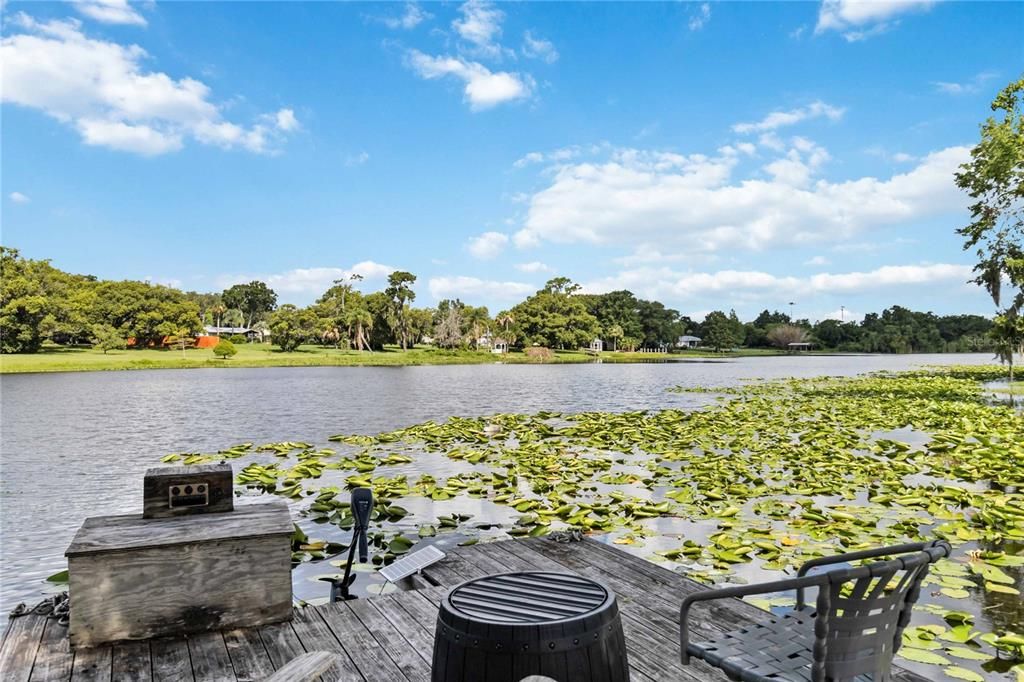 Floating dock and Lake Triplet South