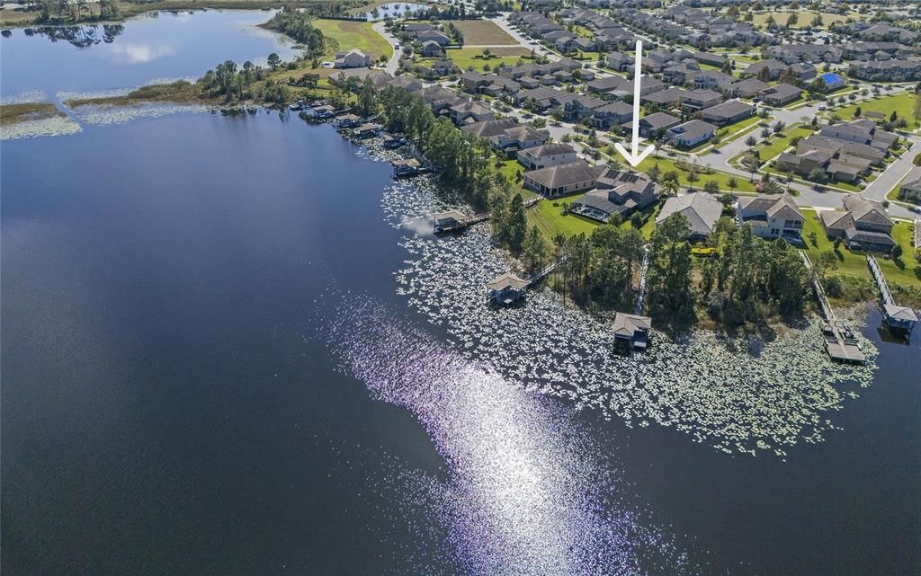 Amazing Lake Views