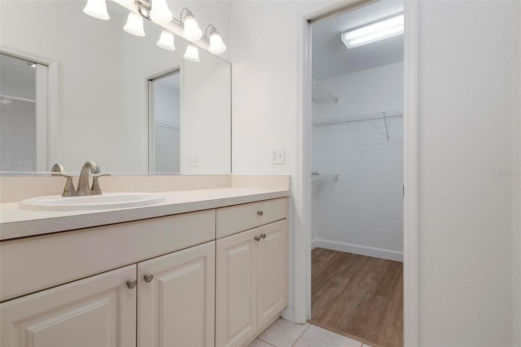 Primary Vanity and Walk in Closet