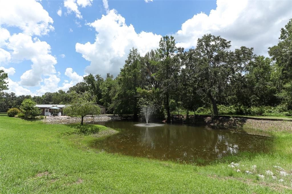 Stocked fishing pond