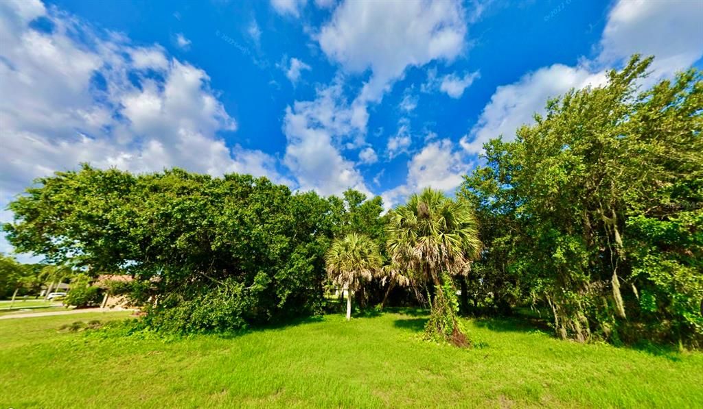 Ready to Build Your Dream Home?  Really Nice Tropical Lot with Sabal PalmsLot Next Door is For Sale Too!  MLS#U8248487