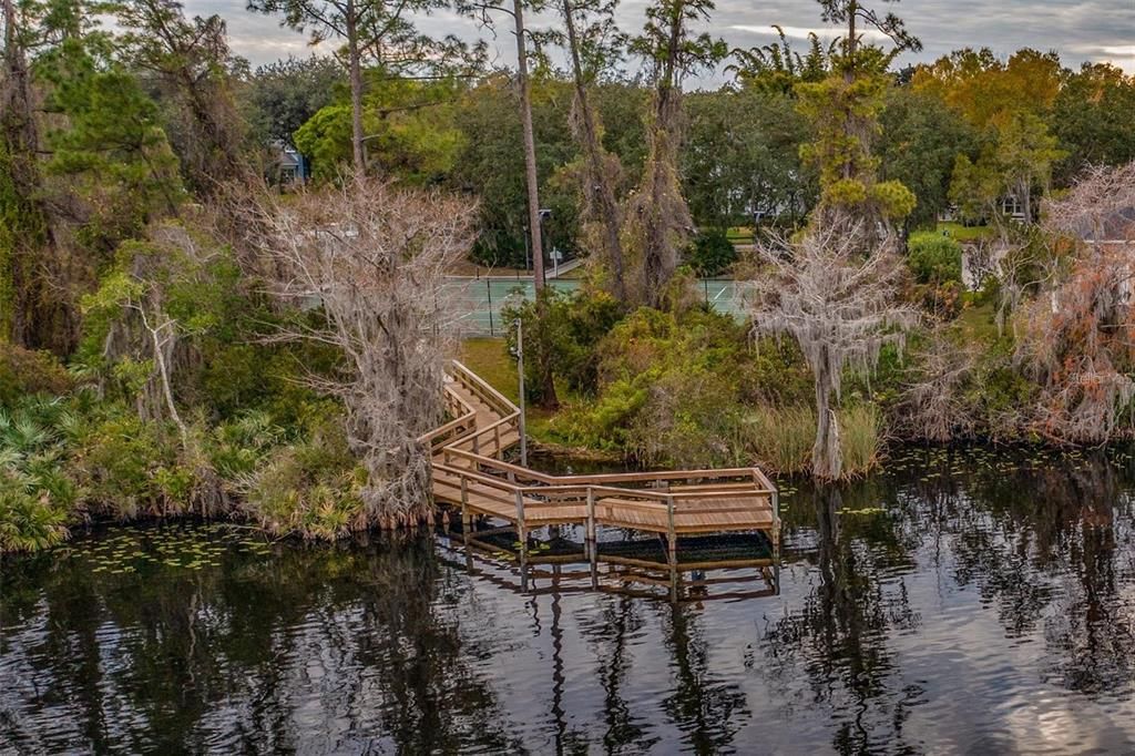 Dock view from the lake with community tennis courts in the background.