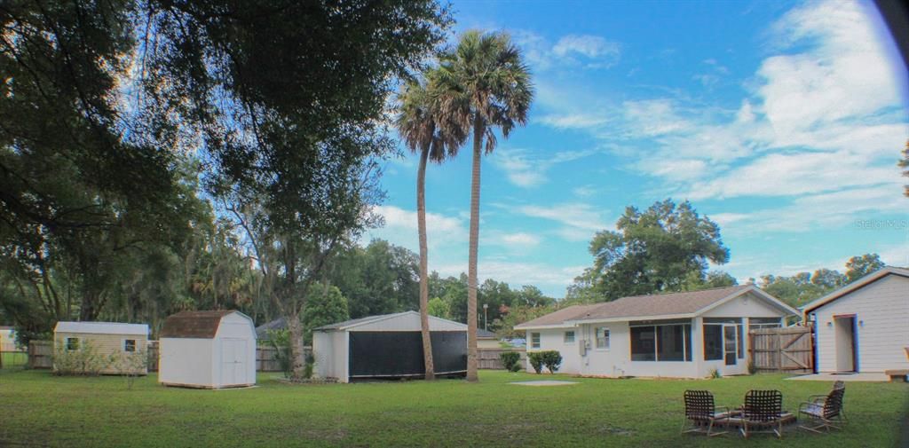 Backyard View