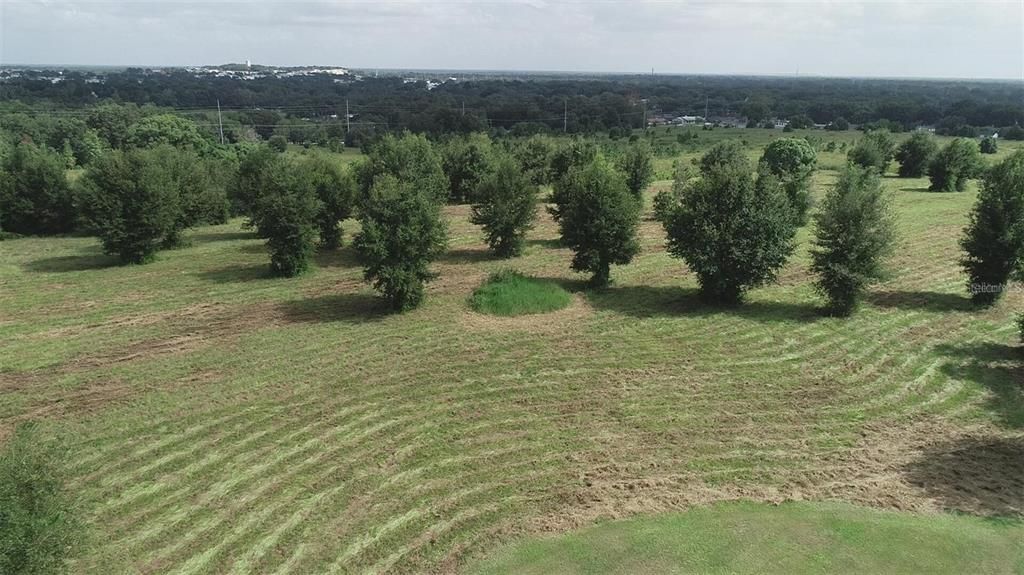 For Sale: $525,000 (6.00 acres)