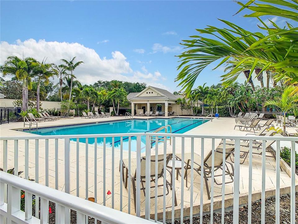 swim laps at the Club pool