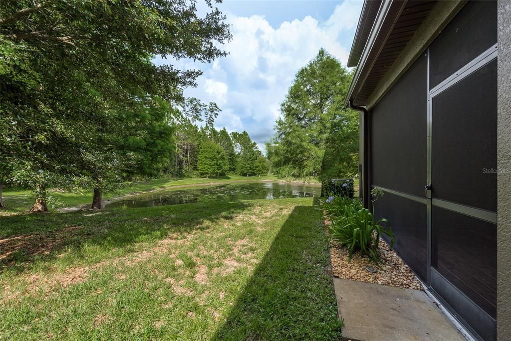 Pond View