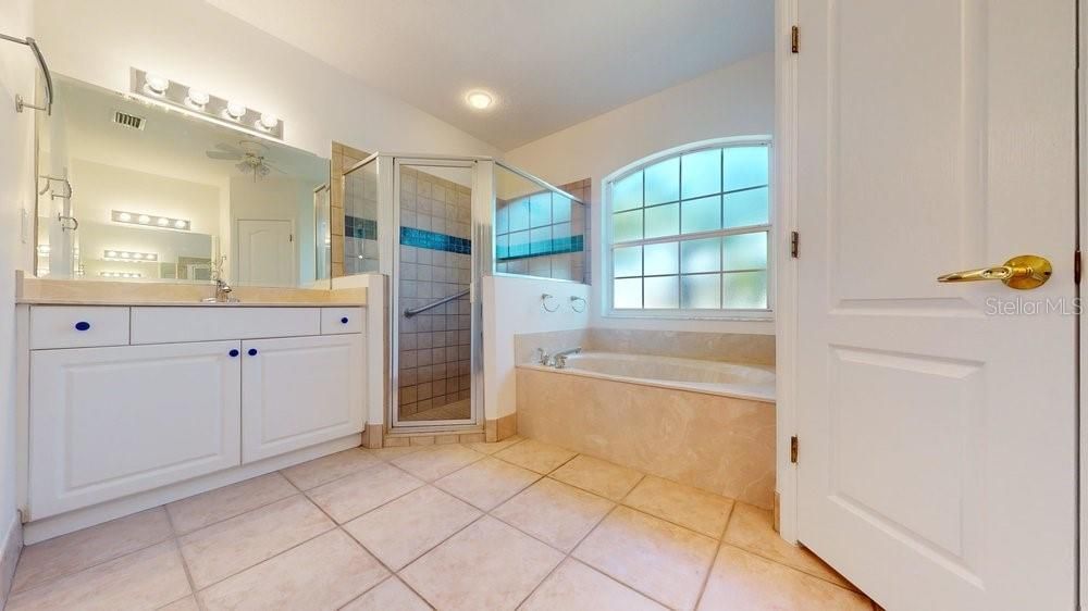 Master bath with tub and separate shower stall