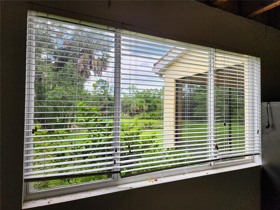 view out living room window