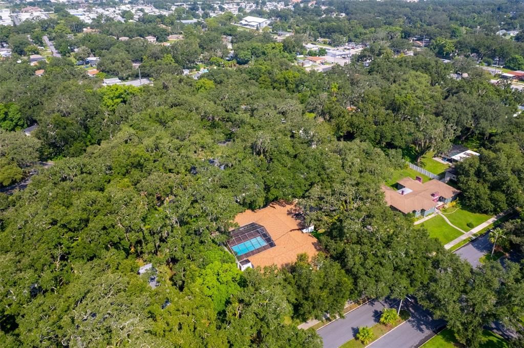 The entire neighborhood is shrouded by towering shade trees.