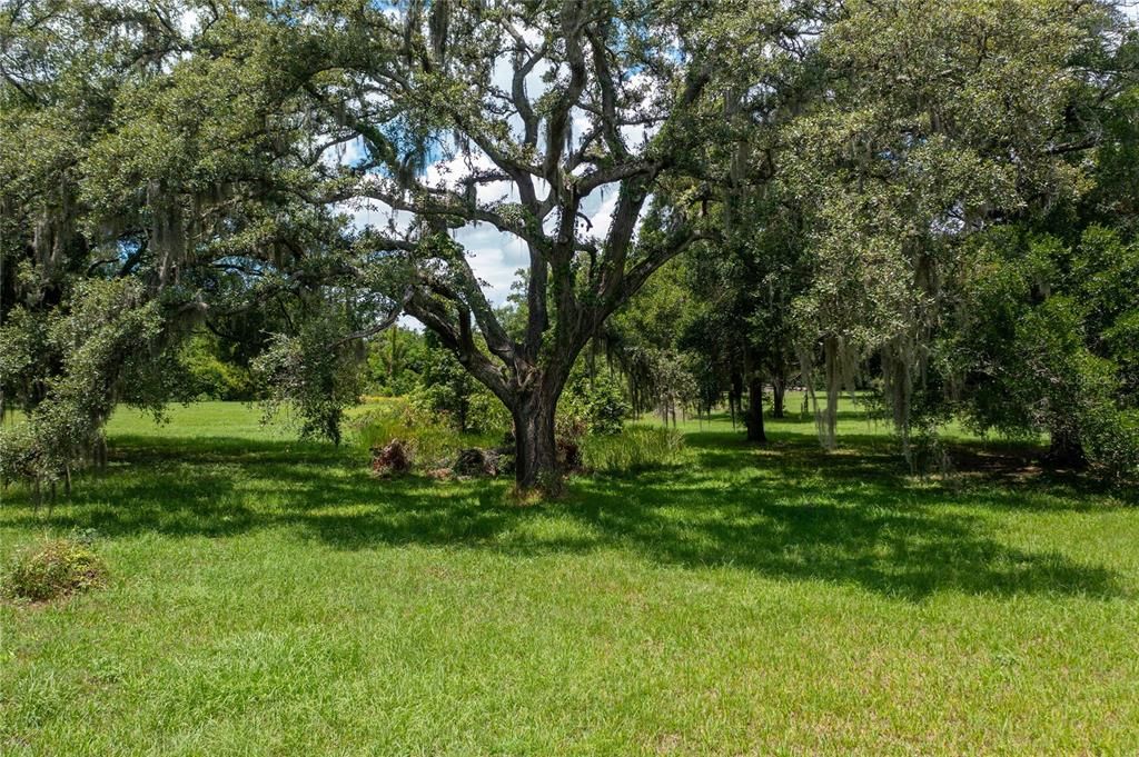 For Sale: $525,000 (2.40 acres)