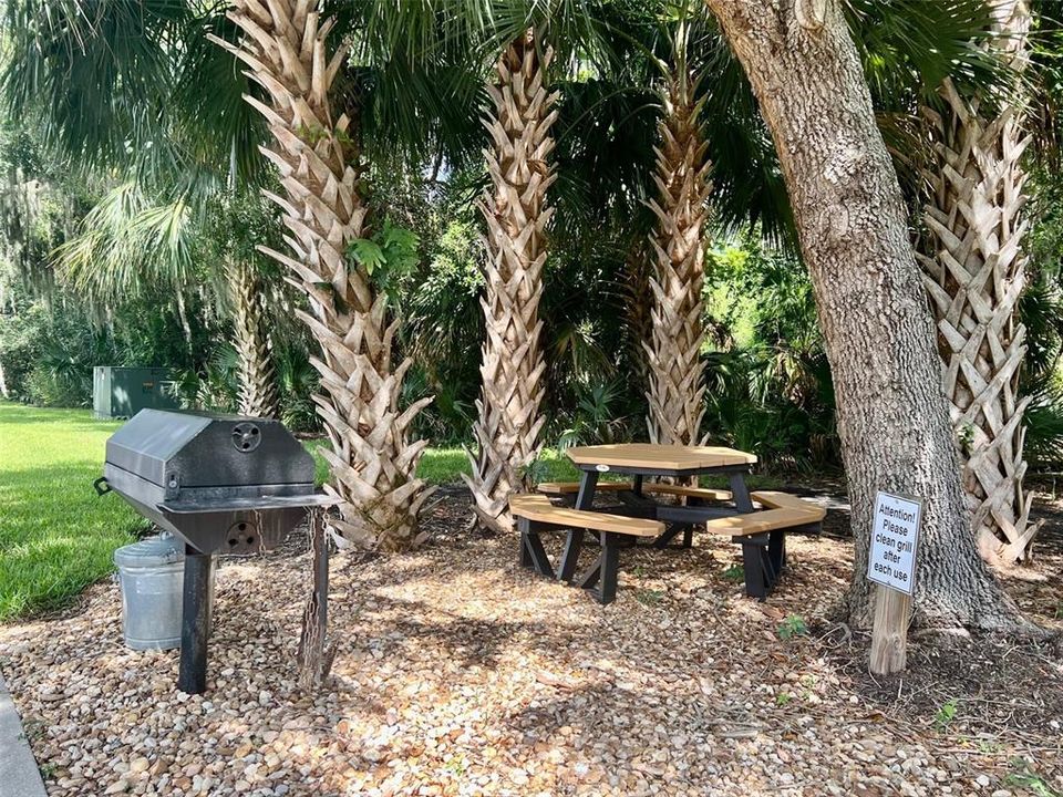 Picnic Table and Barbecue