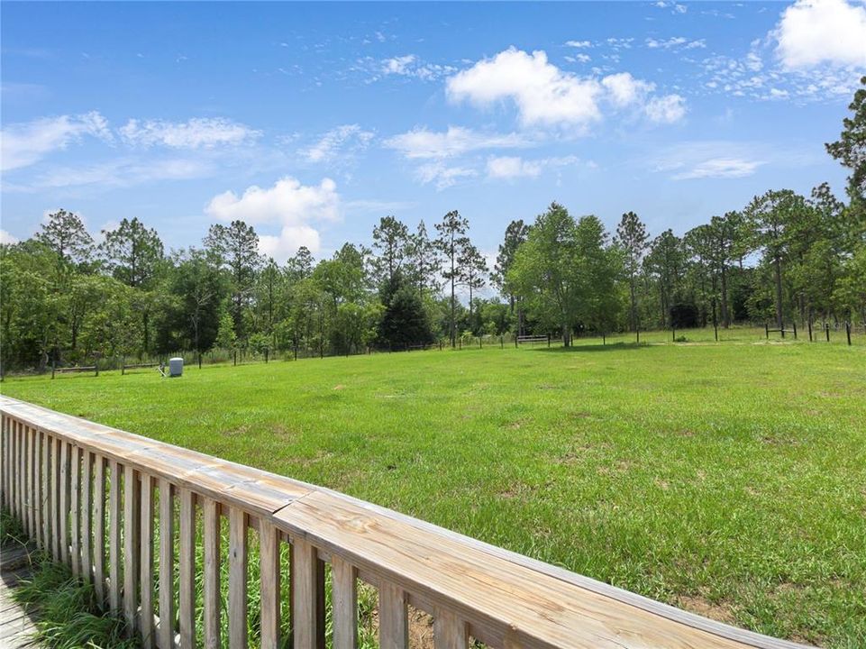 View of Backyard