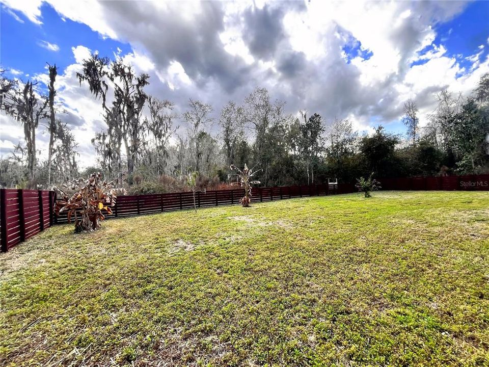 Side and Back Yard Preserve View