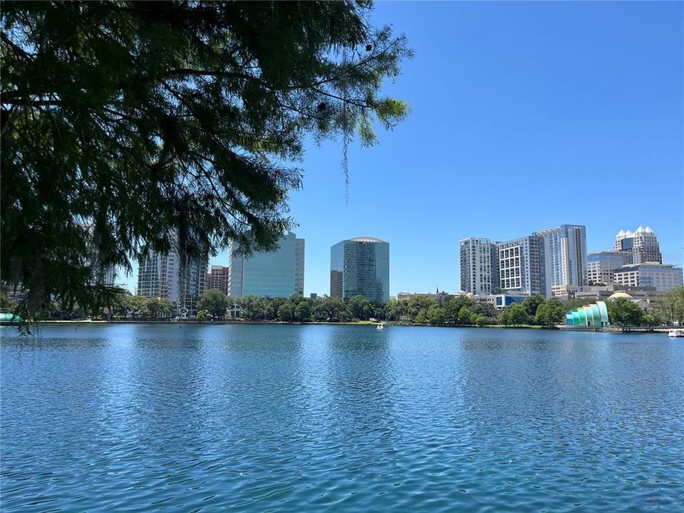 Lake Eola view