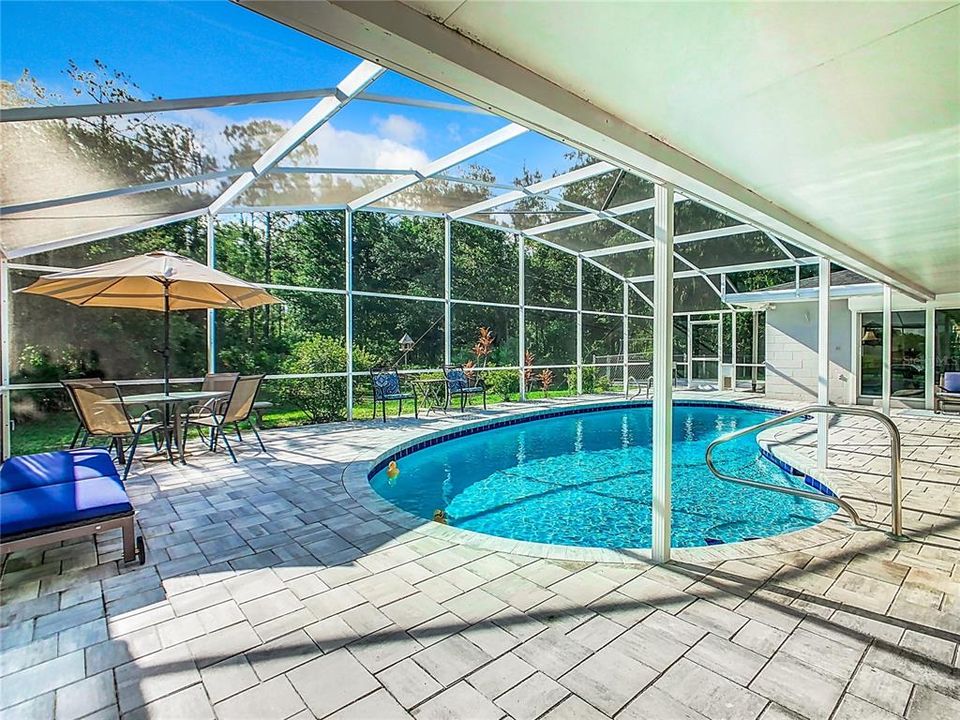 Pool view with new pavers and screen cage.