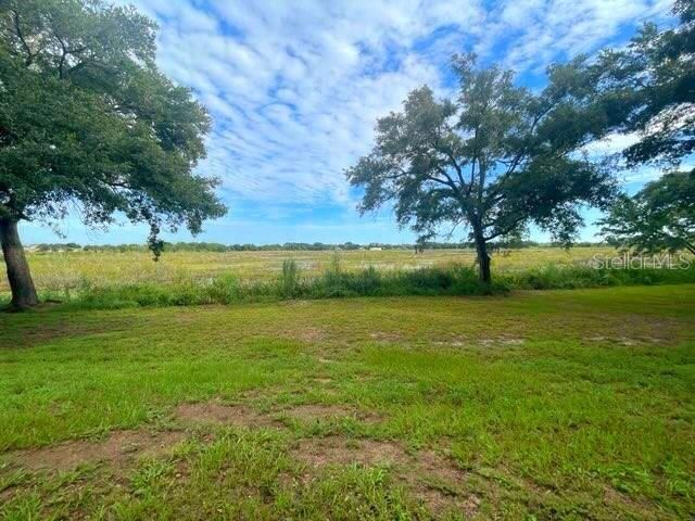 Rear Yard Conservation View