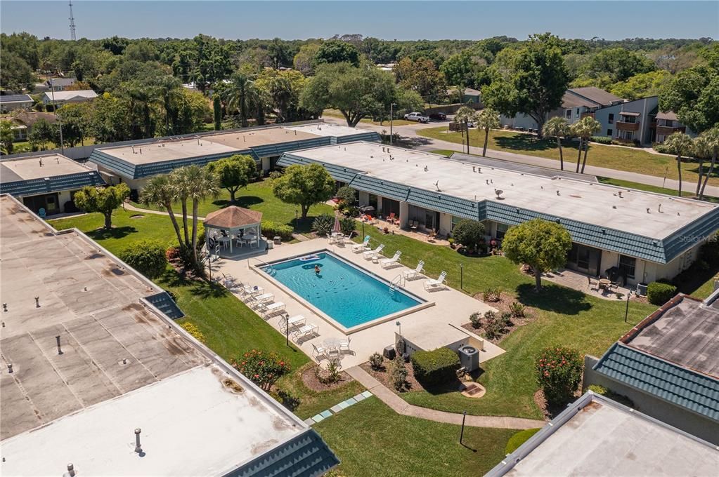 Overhead view of the pool