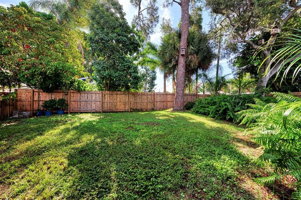 Back yard, fully wood fenced in.