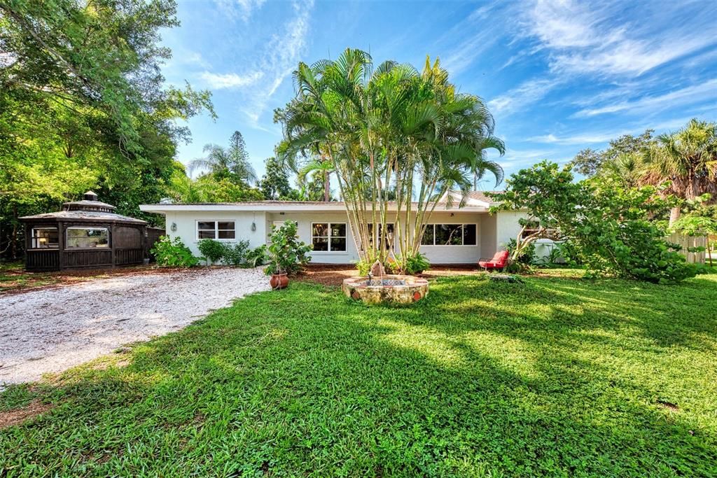 Large front yard with native groundcover