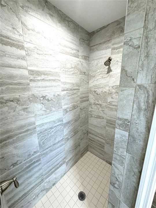 Primary Bathroom Walk-In Shower