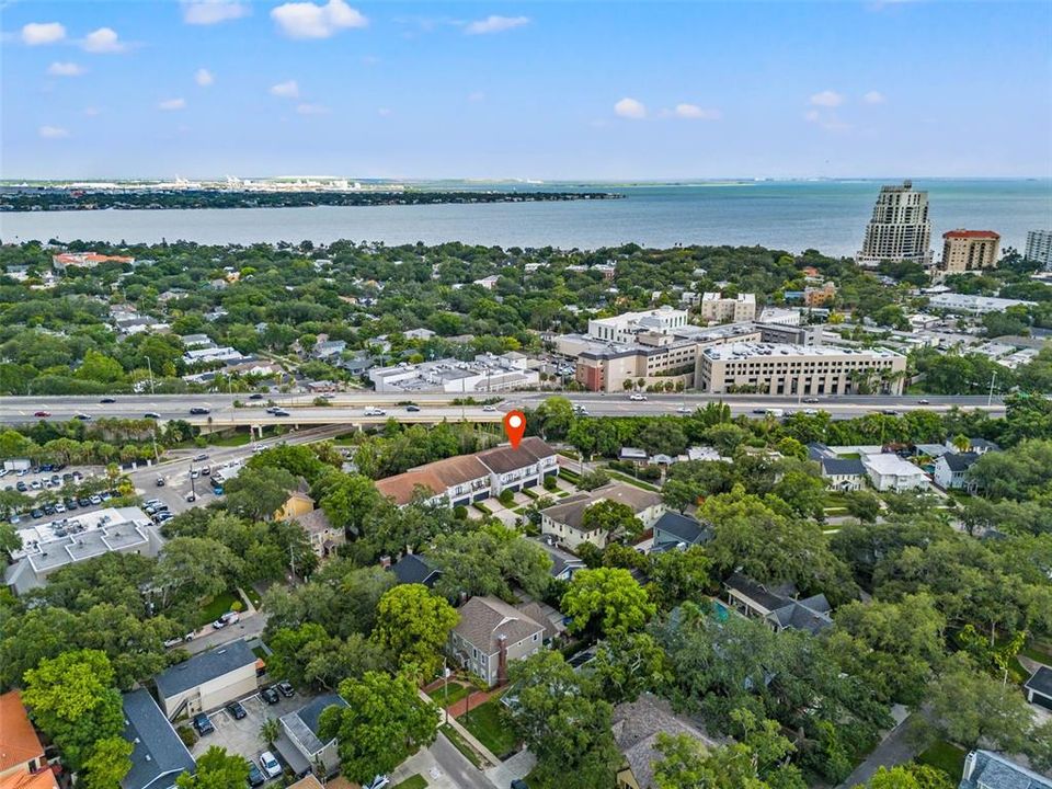 View of Bayshore blvd