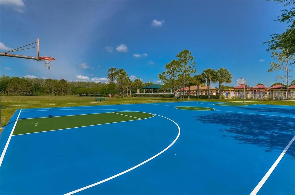 Basket ball courts