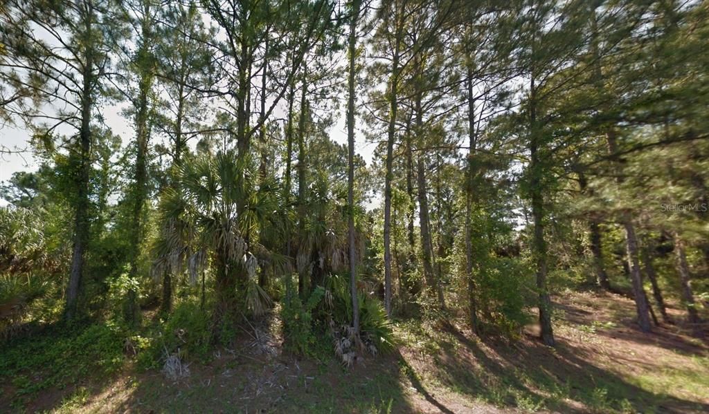 For Sale: $55,999 (0.40 acres)