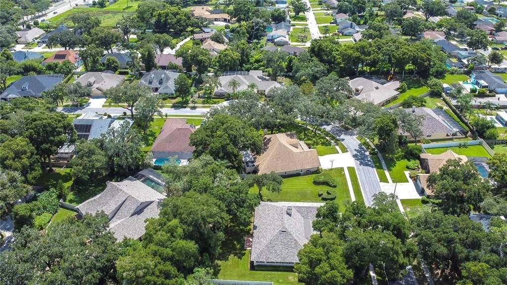 Tree lined street!